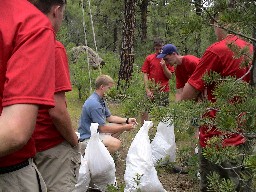 Ranger Training:  Bear Bags & the Lark's Head Knot